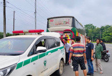 Penumpang Bus NPM Tewas di Toilet, Sempat Membuat  Penumpang  Lain Panik