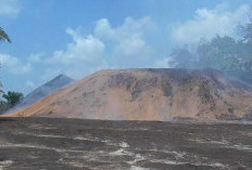 Surati Kementerian ESDM, Buntut Ribuan Ton Batu Bara Terbakar