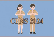 Ini Dia Formasi CPNS & PPPK 2024 Di 7 kementerian