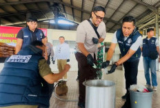 Ratusan Kilogram Barang Bukti Dimusnahkan, Selamatkan 824 Ribu Jiwa