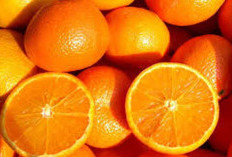 Manfaat Buah Jeruk untuk Kesehatan Tubuh 