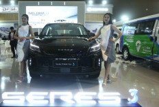 DFSK dan Seres Catat Penjualan 782 Unit dan Raih Tiga Penghargaan di PEVS 2025