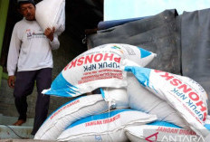Akses Cepat Pupuk Subsidi untuk Merawat Harapan Petani Padi