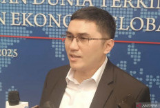 Demokrat Nilai Silaturrahmi Menteri dengan Jokowi adalah Wajar 