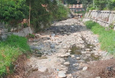 Air Baku PDAM Mulai Terganggu, Kondisi Sungai Bungkal Kering