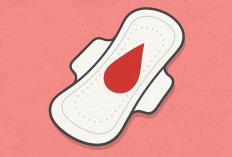 Memahami Siklus Menstruasi: Tahapan, Peran Hormon, dan Cara Menghitungnya