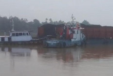 Tongkang Batu Bara Tersangkut di Sungai Batanghari