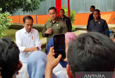 Jokowi Jelaskan Penyebab Dampak Kenaikan Beras