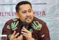 Bupati Merangin Usulkan Pembangunan Tower Mini ke Komisi I DPR RI
