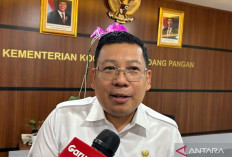 Penyaluran Bantuan Pangan Diutamakan Wilayah Indonesian Timur