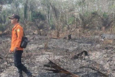Karhutla Kabupaten Tebo Mulai Meningkat, Terdata 5 Titik Panas   Sepanjang 2025 