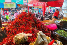 Harga Cabai dan Daging Ayam Naik