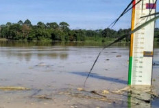 Debit Sungai Batanghari Meningkat Muarojambi Tingkatkan Kewaspadaan Banjir