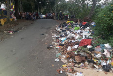 DLH Kota Sungaipenuh Kekurangan Armada Pengangkut Sampah, Volume Sampah Capai 60 Ton per Hari