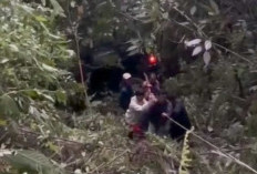 Mobil Avanza Terjun ke Jurang 