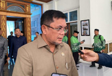 DPRD Provinsi Jambi Bentuk 4 Pansus 