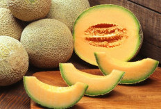 Manfaat Melon sebagai Sumber Vitamin C yang Menyehatkan