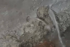 Pagar Dishub Provinsi Jambi Retak, Air Masuk Rumah Warga