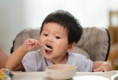 Makanan Tepat untuk Anak Usia 1 Tahun  Agar Tumbuh Sehat dan Aktif