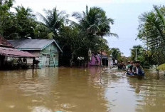 Tujuh Kecamatan Rawan Bencana  BPBD Batang Hari, Siapkan Tiga Regu Antisipasi Bencana