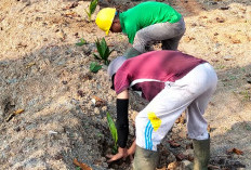 PT Fortius Wajo Perkebunan Diberi Sanksi  Kolam Penampungan Limbah Terbukti Bocor