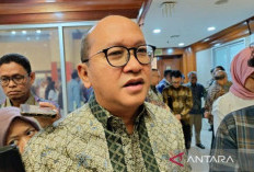  BKPM: Tiga Pencapaian dari Realisasi Investasi Oktober 2019-Juni 2024