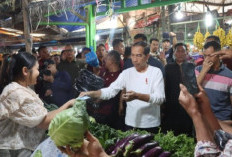 Jokowi Kunjungi Pasar Buah Berastagi di Kabupaten Karo