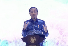 Presiden Jokowi Sentil Desain Arsitektur Daerah Warna Partai Politik