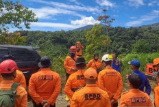 Tim SAR Kerinci Gunakan Drone Thermal Cari Remaja Hilang di Hutan RKE Sungai Penuh
