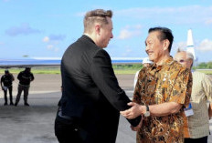 Luhut Ajak Elon Musk Untuk Berkontribusi Dalam Upaya Rehabilitasi Mangrove di Indonesia
