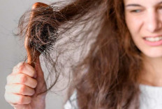 7 Bahan Alami Atasi Rambut Kering, Akibat Hair Dryer