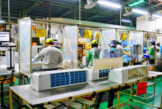 Panasonic akan PHK 10 Ribu Karyawan, Kadin Perjuangkan Lapangan Kerja Baru 