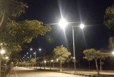 Pemkot Jambi Pasang 1.200 Titik Lampu Jalan, Wildan Imbau Pengurus RT Mengajukan Pemasangan PJU 