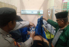 Usai Serangan Harimau Sumatera Memakan Korban, Petani Sekitar TNBBS Diimbau Tidak ke Kebun Sendirian