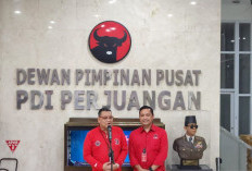 Tia Rahmania Terbukti Alihkan Suara Partai pada Pemilu 2024