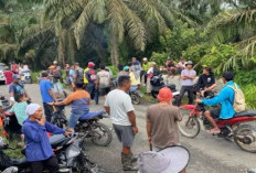 Puluhan Warga Puntikalo Patok Batas Lahan, Tegaskan Batas Lahan dengan TNI AD