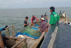 Penetapan Zonasi Wilayah Pesisir, Melalui Perda RZWP3K