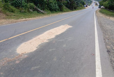 Ibu Tewas, Anak Luka Berat Usai Terserempet Truk di Jujuhan