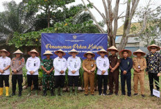 Ketahanan Pangan di Lapas Kuala Tungkal