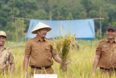 Produktivitas Petani Meningkat Dua Kali Lipat, Bupati Monadi Apresiasi Petani Talang Kemulun