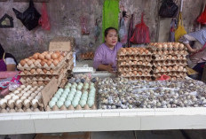 Jelang Idul Fitri 1445 H, Harga Telur di Kota Jambi Merangkak Naik