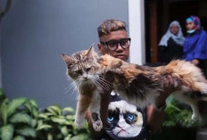 Uya Kuya Dituding Masih Jalankan Bisnis Breeder Kucing, Warganet dan Aktivis Angkat Suara