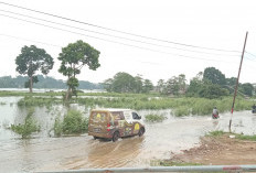 Mitigasi Banjir Kota Jambi  Pemkot dan BWSS Percepat Proyek Kolam Retensi 