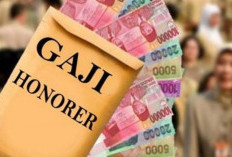 Gaji Guru Honorer Tak Dibayar