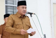  Wali Kota Sungaipenuh Minta Dukungan Kemenhut, Usulkan Pemanfaatan Hutan Produksi untuk TPST