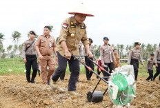 Gubernur Al Haris Lakukan Penanaman Bibit Jagung Dukung Swasembada Pangan