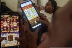 Raup Untung Capai Rp20 M