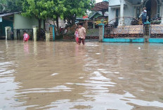 Rugi, Petani Alami Gagal Panen