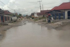 Jalan Kabupaten di Depati Tujuh Rusak Parah