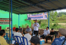 Syarifa Fasha Soroti Minimnya Koordinasi Pemkot, Soal Polemik Zona Merah di Kotabaru